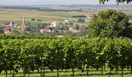 Kontakt zu Stegschandl in Pttelsdorf, Burgenland, sterreich, Europa